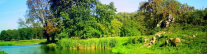 Buy Property At Discount Prices!
